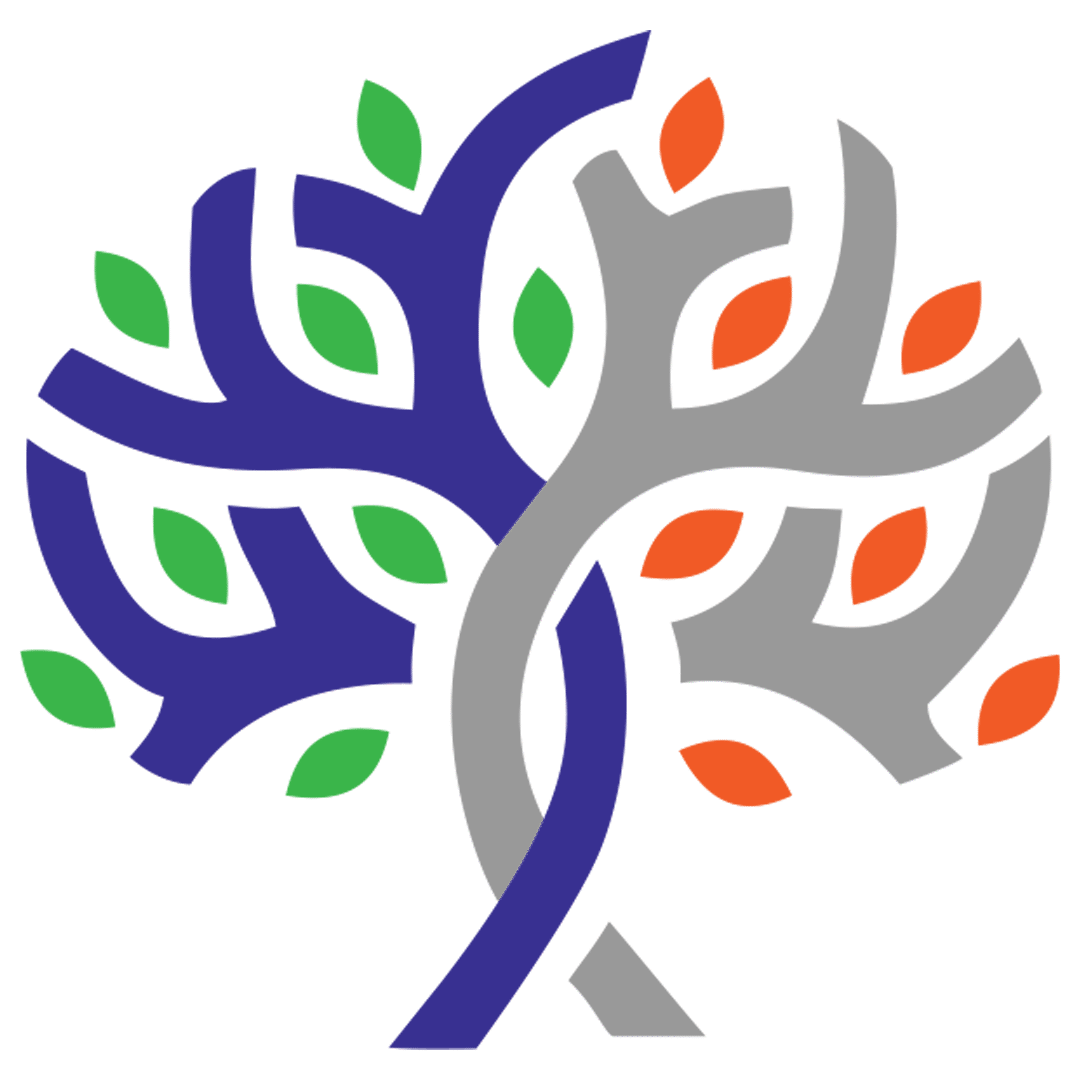 آریانا حیات دانش